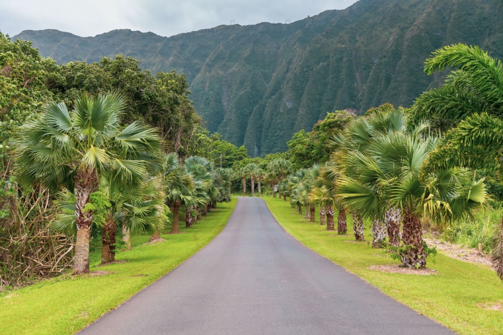 Road into Hoomaluhia Botanical Garden