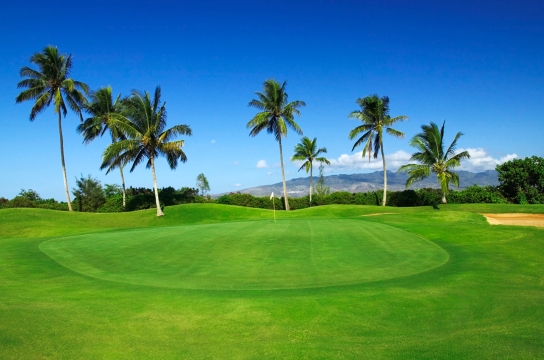 PW_HawaiiPrinceGolfClub Course