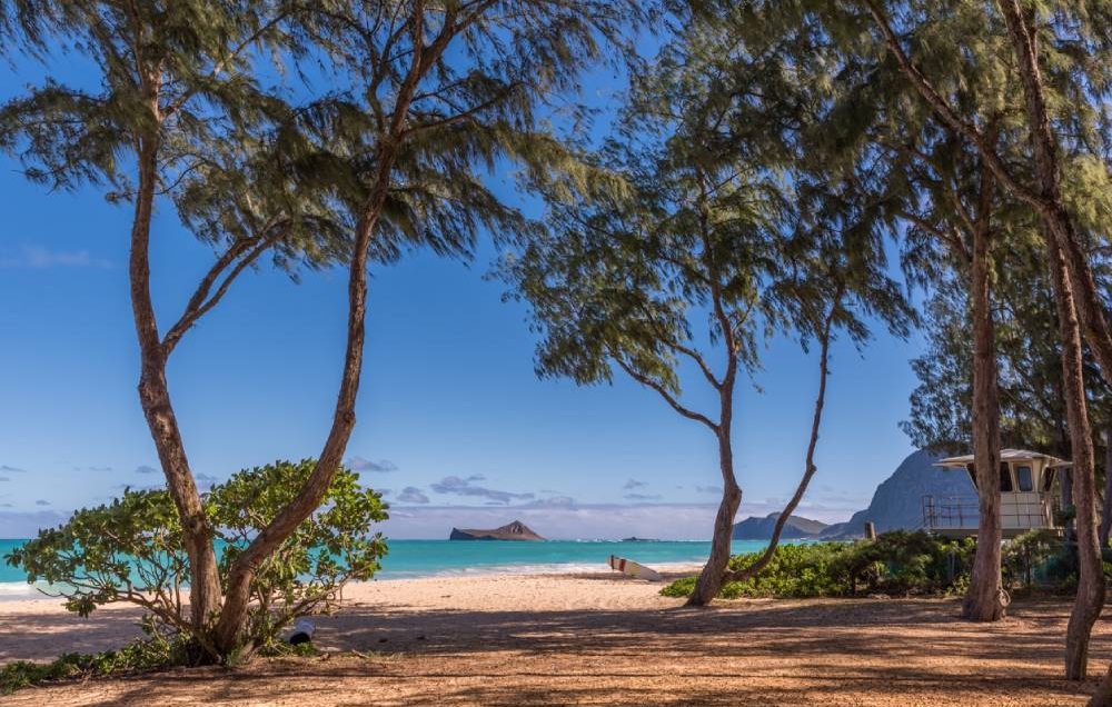 Waimanalo Beach and a lifeguard tower through ironwood trees in Hawaii