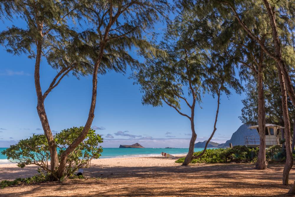 Waimanalo Beach and a lifeguard tower through ironwood trees in Hawaii