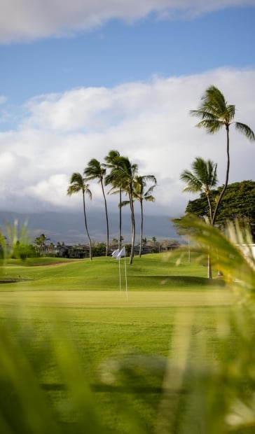 Prince Waikiki golf course
