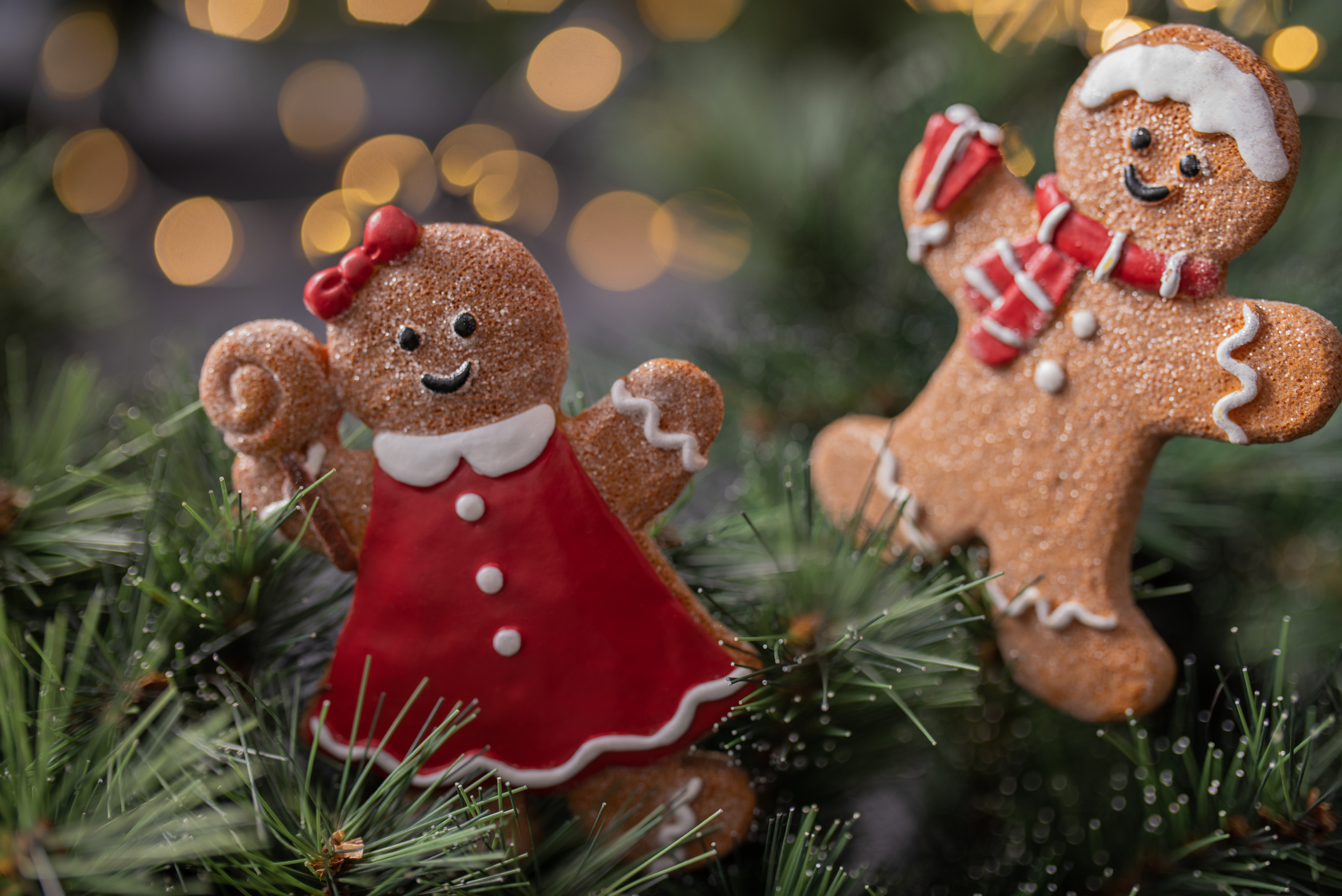 Gingerbread cookies on a Christmas tree. Beautiful winter time background.
