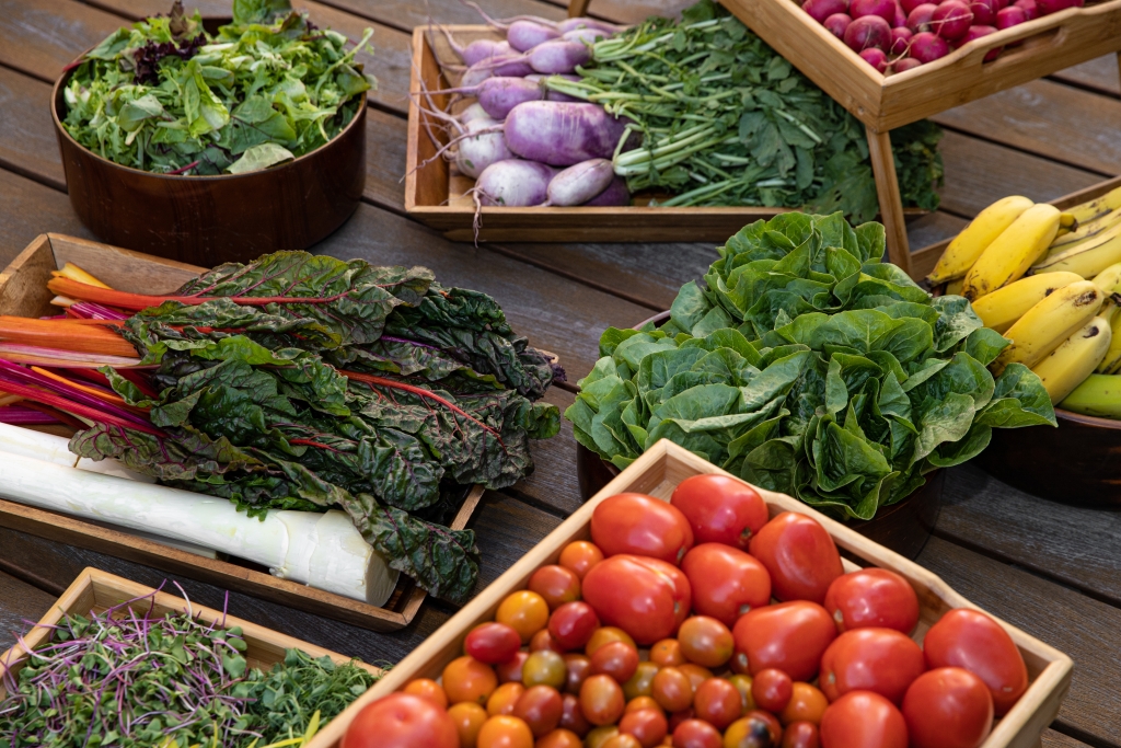 An array of locally sourced produce from swiss chard, hearts of palm, micro greens, tomatoes, romaine lettuce, bananas, radish and mixed greens.