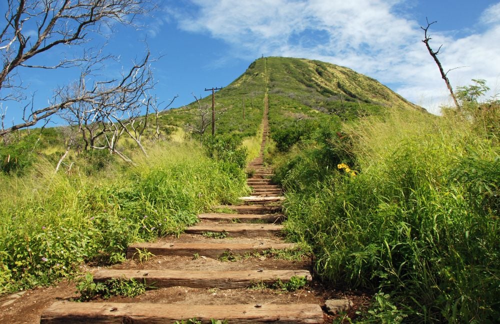 View of a trail leading towards the top of Koko Crater located on the island of Oahu, Hawaii,USA