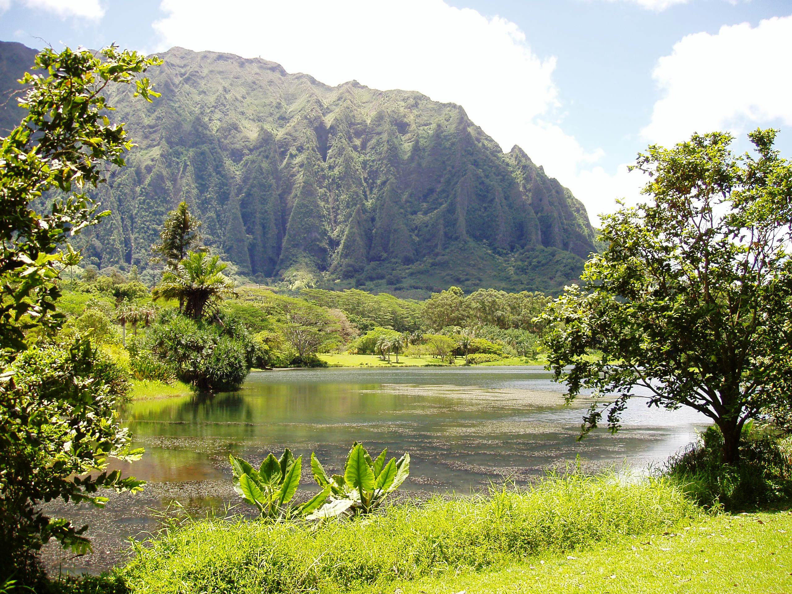 A view of the lake at Ho'omaluhia Botanical Garden