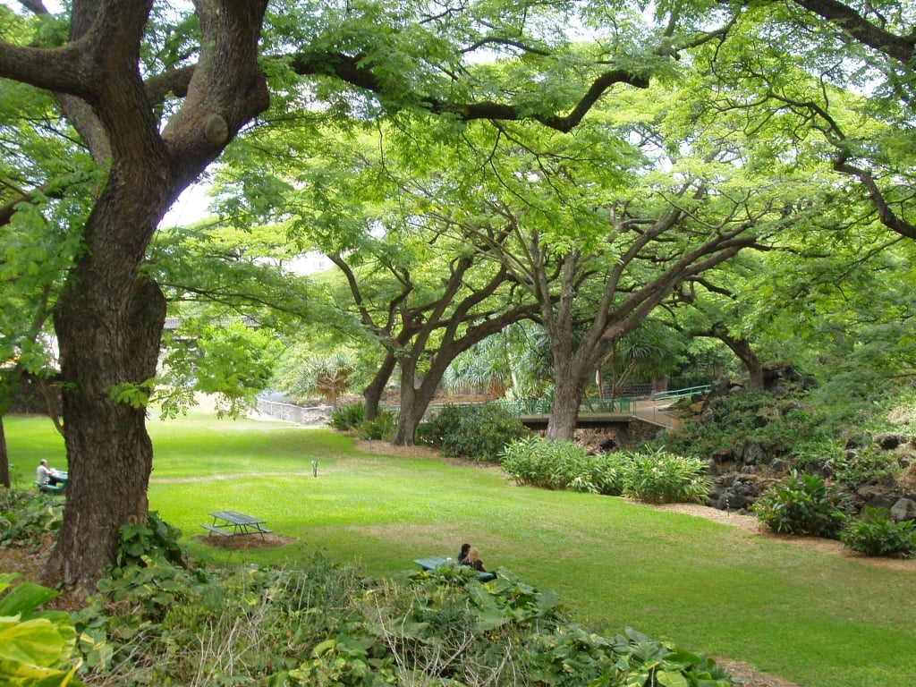 The Lili'uokalani Botanical Garden in Honolulu